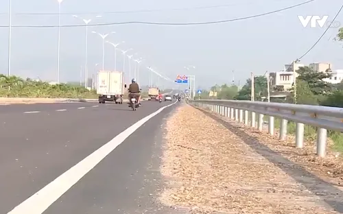 Bình Định: Chấn chỉnh tình trạng xe dăm gỗ rơi vãi