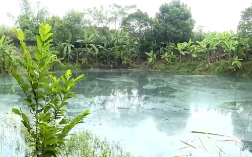 Cá chết, nguồn nước ô nhiễm, ruộng bỏ không vì nước thải từ khu chế biến quặng