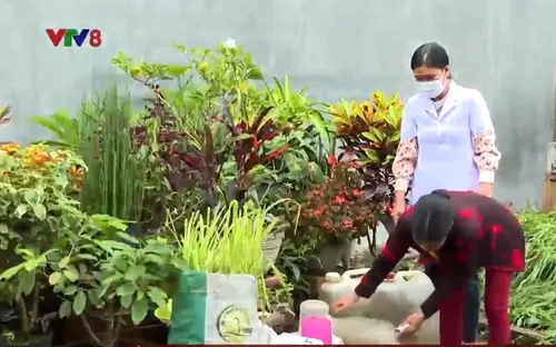 Kon Tum tập trung phòng chống sốt xuất huyết