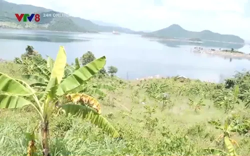 Báo động tình trạng lấn chiếm lòng hồ thủy lợi Sông Cái, Ninh Thuận