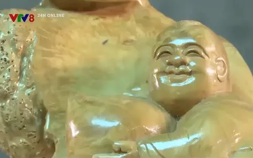 Tạo sức sống cho gốc cây cà phê già cỗi