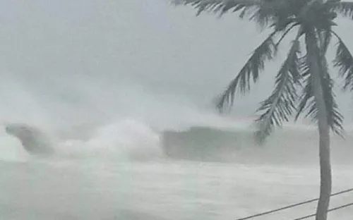 Chủ động ứng phó với bão Saola