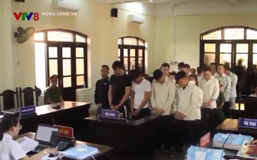 Quảng Nam xét xử 26 bị cáo trong vụ án ma túy