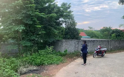 Người phụ nữ đột tử trong bụi cây bên vệ đường