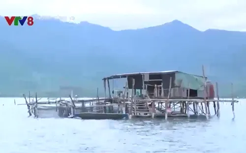 Cần nhân rộng nuôi hàu thân thiện với môi trường