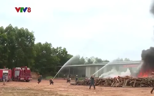 Quảng Trị: Thực tập phương án chữa cháy quy mô lớn