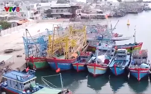 Khai thác thủy hải sản có trách nhiệm