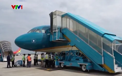 Sân bay Nội Bài kiểm soát vật ngoại lai gây nguy hiểm cho máy bay