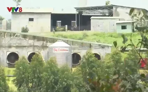 Gia Lai: Nhiều tồn tại trong xử lý ô nhiễm tại các cơ sở chăn nuôi tập trung