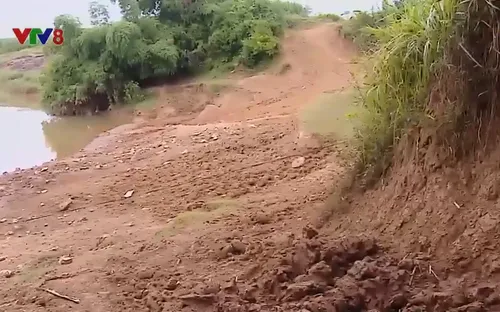 Liên tiếp xảy ra sạt lở bờ sông nghiêm trọng tại Thanh Hóa