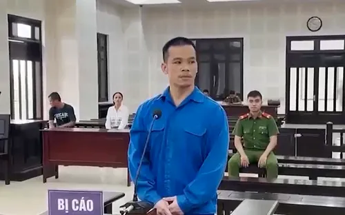 Đà Nẵng: Mở rộng vụ án "chó dữ cắn người"