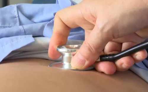 Ninh Thuận: Ngộ độc cá nóc, 1 người chết 2 người nhập viện