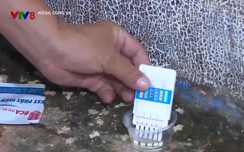 Tổng kiểm soát nồng độ cồn tại TP. Buôn Ma Thuột, tỉnh Đắk Lắk