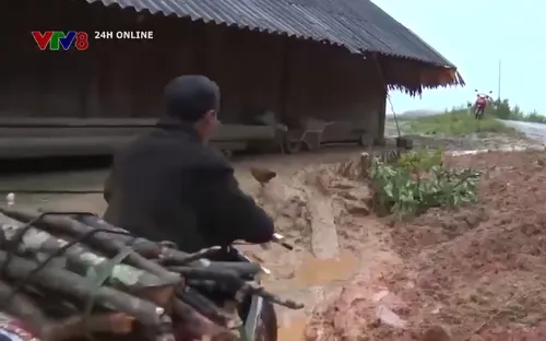 Nghệ An: Mưa lớn kèm lốc xoáy khiến nhiều nơi bị thiệt hại