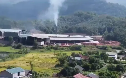 Nhà máy gạch quy mô lớn hoạt động không giấy phép