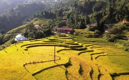 Đảm bảo quyền đi học cho trẻ em dân tộc thiểu số