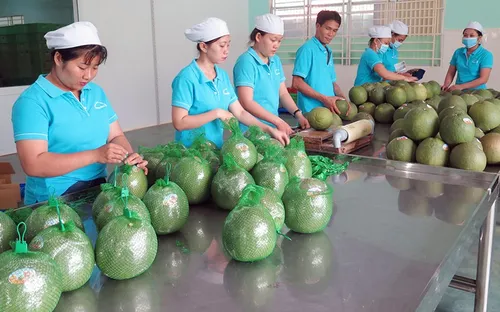 2023 - năm thắng lớn của nông sản Việt