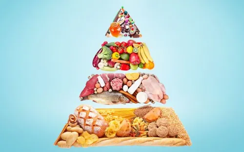 Hiểu đúng về tháp dinh dưỡng cho người trưởng thành