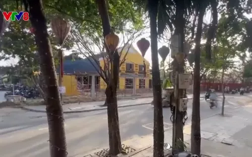 Hội An lấy đất vàng trồng cây xanh