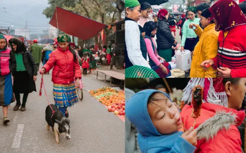 Rộn ràng thử rượu ngô, dắt lợn bản tại chợ phiên Mèo Vạc, Hà Giang