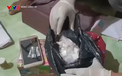 Khánh Hòa đẩy mạnh đấu tranh với tội phạm ma túy