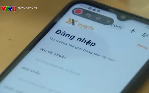 Cảnh giác các thủ đoạn lừa đảo gia tăng dịp Tết