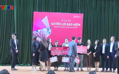 Nạn nhân vụ chìm tàu ở Quảng Nam được chi trả bảo hiểm gần 3 tỷ đồng