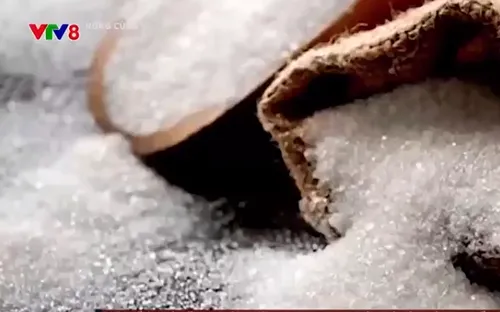 Buôn lậu đường kính qua biên giới ở Quảng Trị