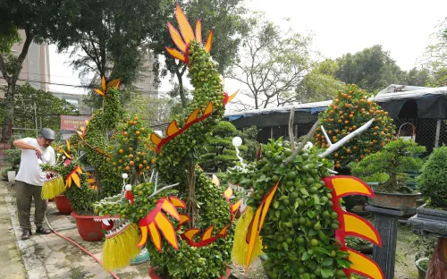 Độc lạ lan, quất hình rồng giá vài chục triệu đồng