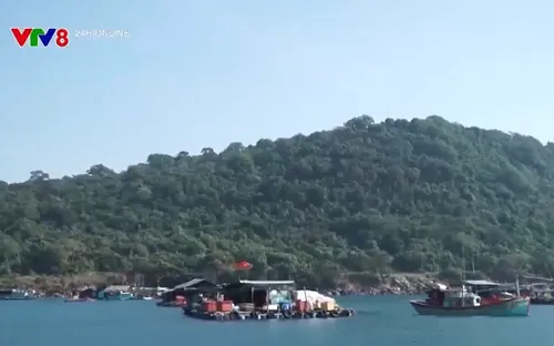 Tình quân dân trên đảo