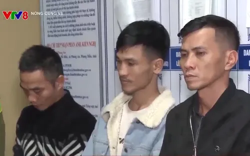 Thừa Thiên Huế phá đường dây đánh bạc và tổ chức đánh bạc