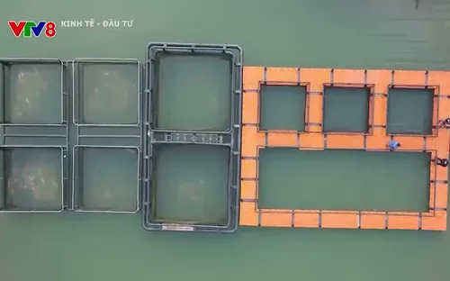 Hiệu quả mô hình nuôi cá bằng vật liệu nhựa HDPE