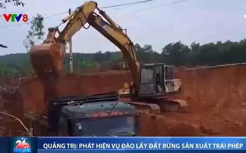 Quảng Trị phát hiện vụ đào lấy đất rừng sản xuất trái phép quy mô lớn