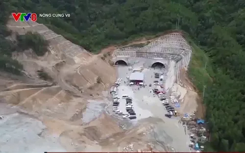 Cao tốc Quảng Ngãi - Hoài Nhơn sau 1 năm thi công