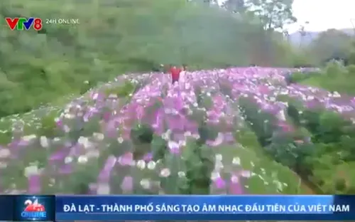 Đà Lạt - Thành phố sáng tạo âm nhạc đầu tiên của Việt Nam