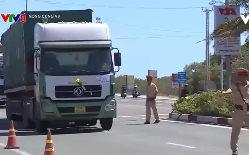 Bình Định nâng cao trách nhiệm trong quản lý của các doanh nghiệp vận tải