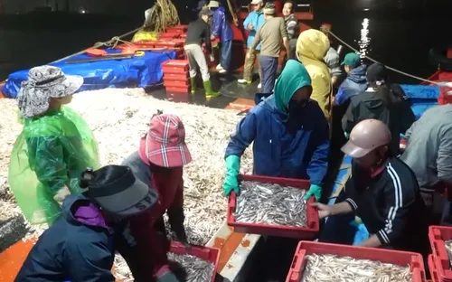 Ngư dân thắng lợi chuyến biển đầu năm