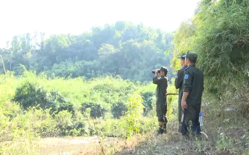 Tết của những người giữ rừng