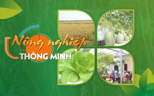 Xuân mới bàn chuyện "Nông nghiệp 4.0"