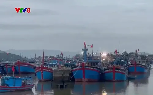 Đặc sắc Lễ hội "Mở biển" của ngư dân Quảng Ngãi