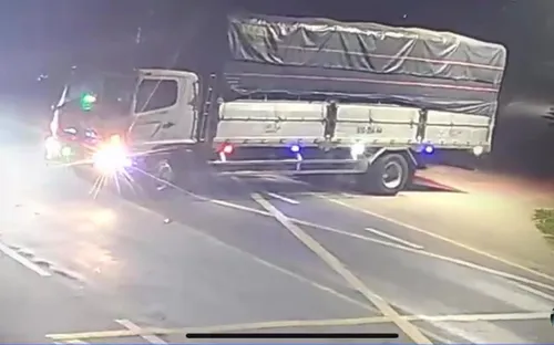 Lái xe tải đi... trộm mai