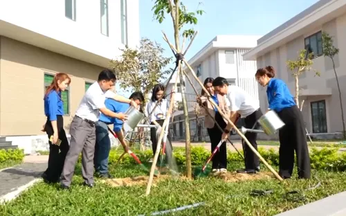 Phú Yên: Phát động Tết trồng cây