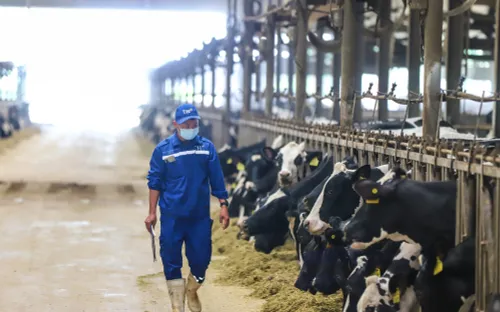 Kinh tế tuần hoàn giúp quản lý phát thải