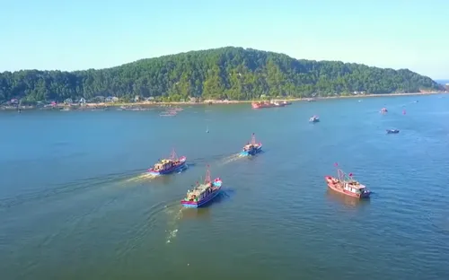 Nghệ An: Ngư dân phấn khởi vươn khơi đầu năm