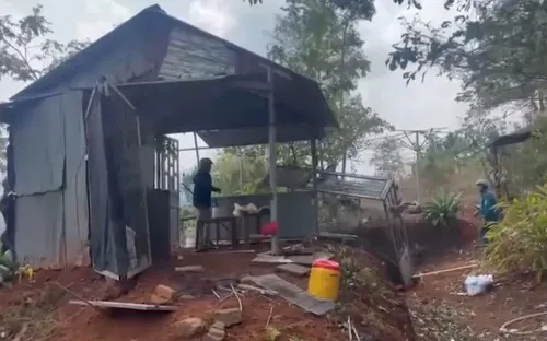 Cưỡng chế các hộ dân lấn chiếm đất rừng thông ven đường Hồ Chí Minh