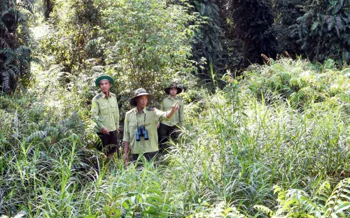 Khẩn trương triển khai phòng chống cháy 21.000 ha rừng Cà Mau