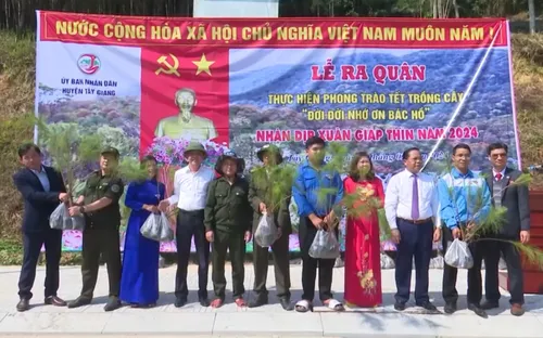 Quảng Nam: Tập trung trồng cây, bảo tồn đa dạng sinh học