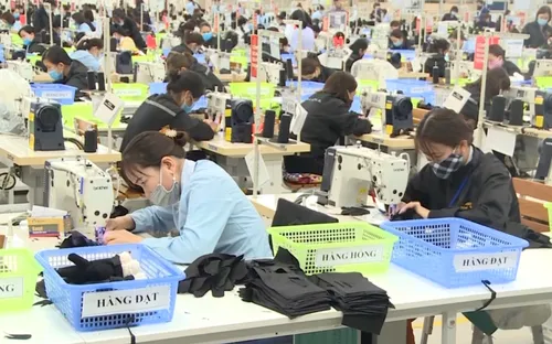 Hà Tĩnh: Cơ hội việc làm cho hàng nghìn lao động