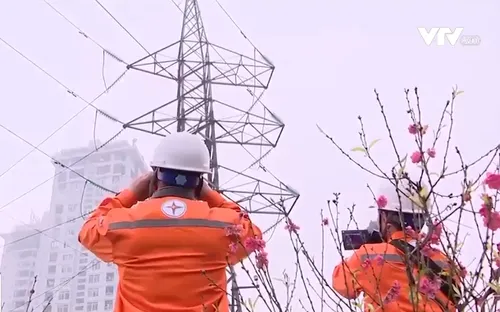 Tết không nghỉ của những công nhân ngành điện