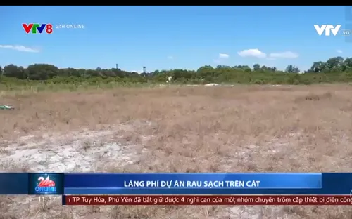Lãng phí dự án rau sạch trên cát